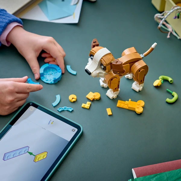 LEGO® CREATOR ΧΑΡΙΤΩΜΕΝΑ ΖΩΑ: ΠΑΙΧΝΙΔΙΑΡΙΚΟ ΚΟΥΤΑΒΙ