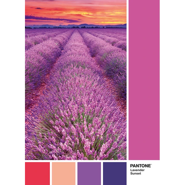 CLEMENTONI ΠΑΖΛ PANTONE ΜΩΒ ΒΙΟΛΕΣ 1000 ΤΜΧ