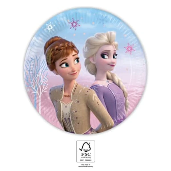 MEDIUM PLATES 20 cm 8 pcs FROZEN 2 NEXT GENERATION