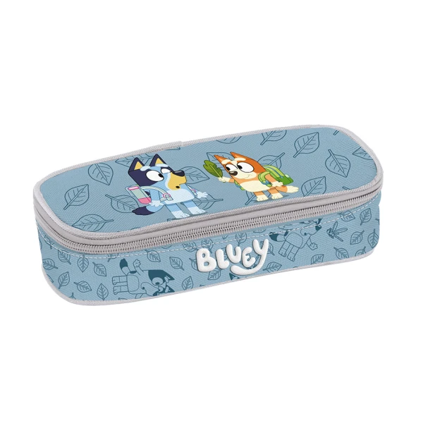 ΚΑΣΕΤΙΝΑ ΟΒΑΛ PRESCHOOL FACE BLUEY