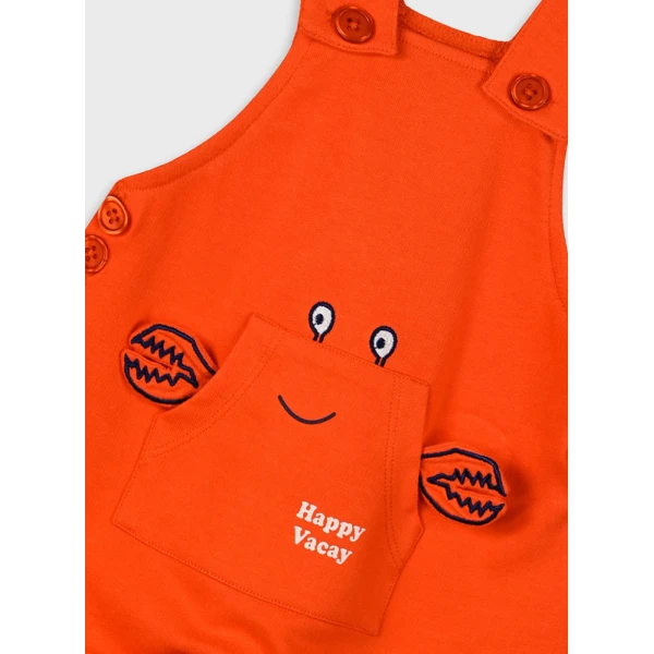 ENERGIERS SET CARROT