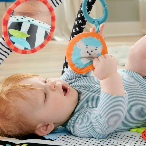 FISHER PRICE 3-IN-1 MUSICAL ACTIVITY GYM