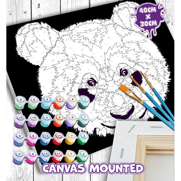 SPLAT PLANET PAINTING BY NUMBERS KIT ON FRAMED CANVAS 40X30 cm PANDA