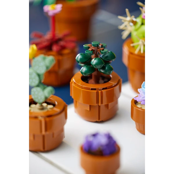 LEGO® BOTANICALS ΜΙΚΡΑ ΦΥΤΑ