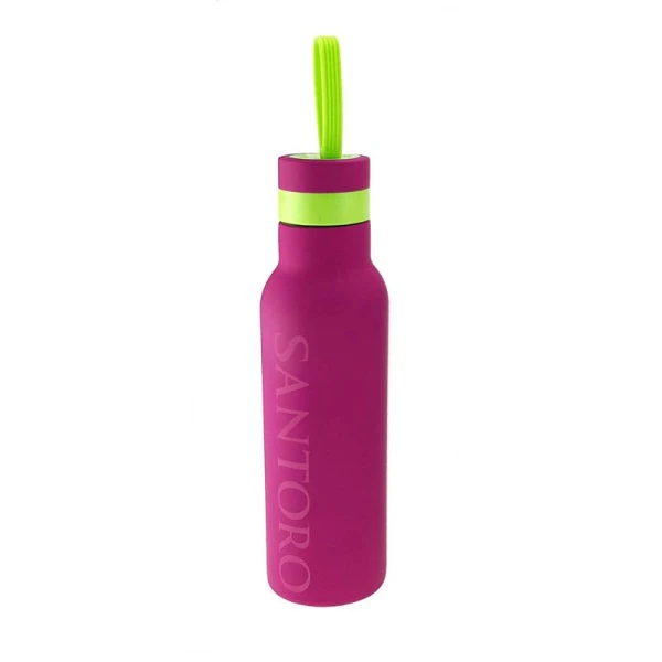 SANTORO ΠΑΓΟΥΡΙ ΘΕΡΜΟΣ 500 ml ΦΟΥΞΙΑ