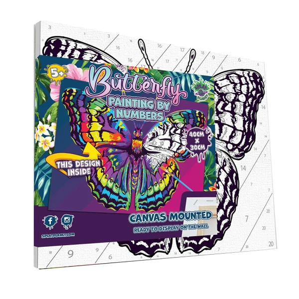 SPLAT PLANET PAINTING BY NUMBERS KIT ON FRAMED CANVAS 40X30 cm BUTTERFLY