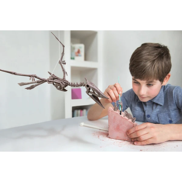 4M PTERANODON EXCAVATION