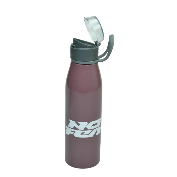 BACK ME UP STAINLESS STEEL WATER BOTTLE 600ml NO FEAR GRAPE