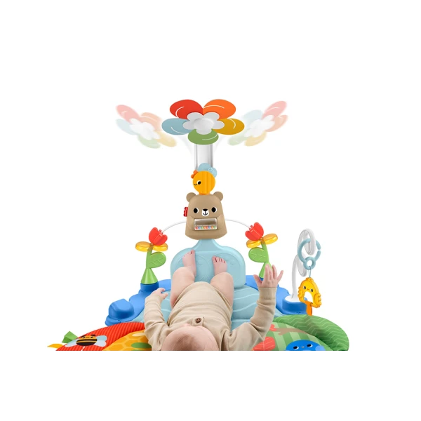 FISHER PRICE ΓΥΜΝΑΣΤΗΡΙΟ 3 ΣΕ 1 ΜΕ ΠΕΡΙΣΤΡΕΦΟΜΕΝΟ ΛΟΥΛΟΥΔΙ