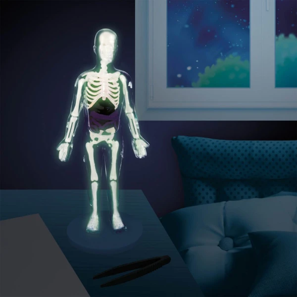BUKI HUMAN BODY 12 EXPERIMENTS