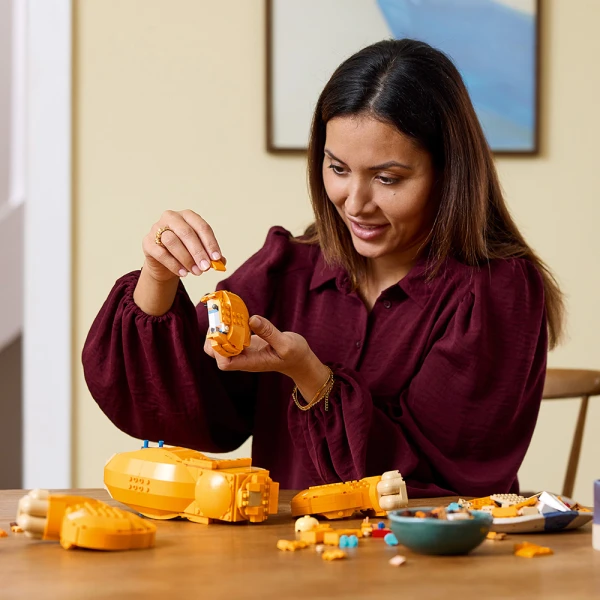 LEGO® ǀ DISNEY ΝΕΑΡΟΣ ΣΙΜΠΑ, Ο ΒΑΣΙΛΙΑΣ ΤΩΝ ΛΙΟΝΤΑΡΙΩΝ