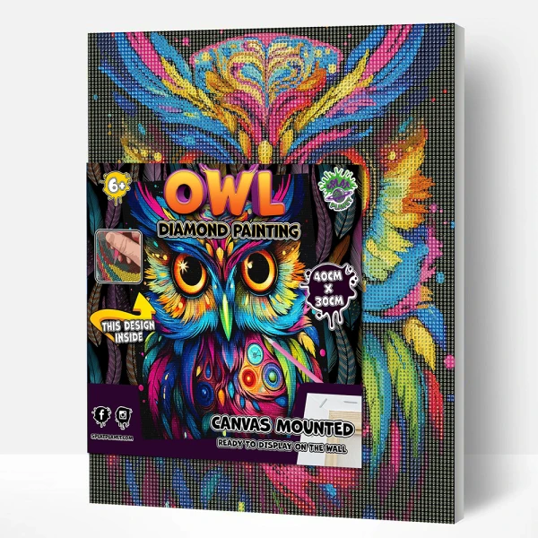 SPLAT PLANET DIAMOND PAINTING KIT ON FRAMED CANVAS 40X30 cm OWL