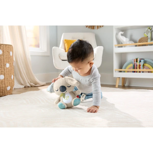 FISHER PRICE ΜΑΛΑΚΟ ΚΟΑΛΑ ΜΕ ΜΟΥΣΙΚΗ