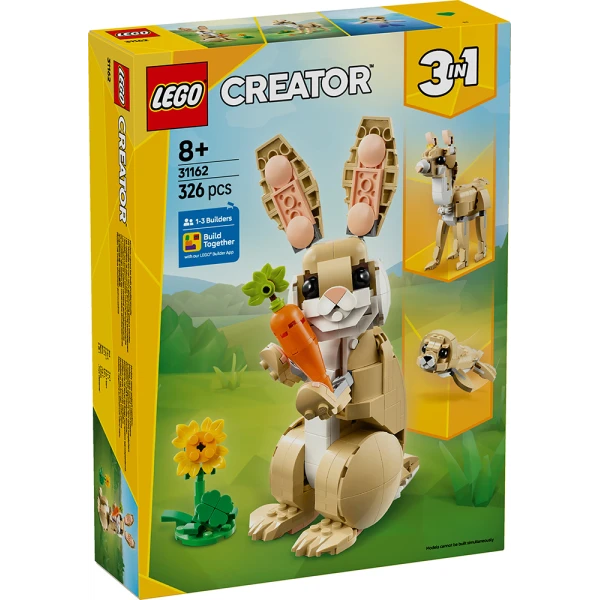 LEGO® CREATOR ΧΑΡΙΤΩΜΕΝΟ ΚΟΥΝΕΛΙ