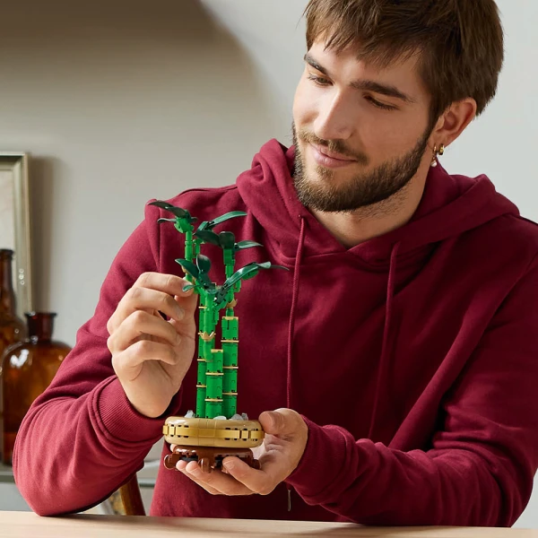 LEGO® BOTANICALS LUCKY BAMBOO