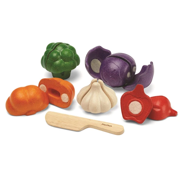 PLAN TOYS ΣΕΤ ΛΑΧΑΝΙΚΩΝ 5 ΧΡΩΜΑΤΑ