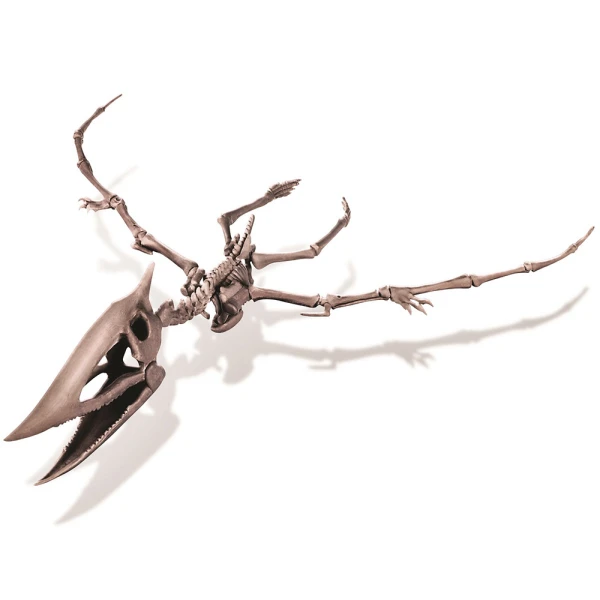 4M PTERANODON EXCAVATION