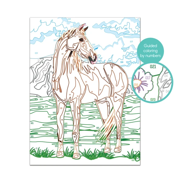 PAINT & FRAME PAINT BY NUMBERS WILD HORSE FOR AGES 9+