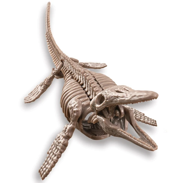 4M MOSASAUR EXCAVATION