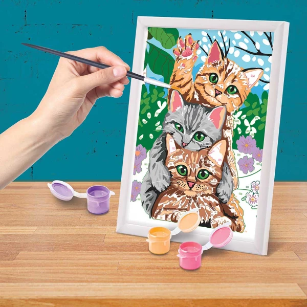 PAINT & FRAME PAINT BY NUMBERS FUNNY KITTIES FOR AGES 9+
