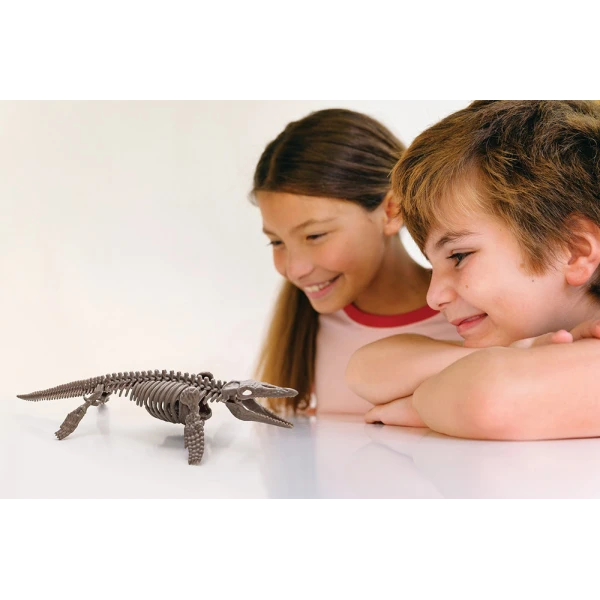 4M MOSASAUR EXCAVATION