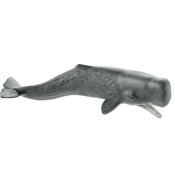 ΜΙΝΙΑΤΟΥΡΑ SCHLEICH ΦΑΛΑΙΝΑ ΦΥΣΗΤΗΡΑΣ
