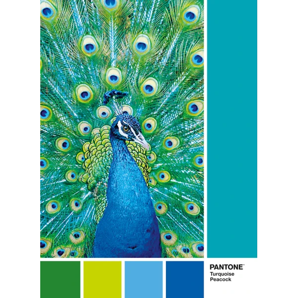 CLEMENTONI PUZZLE 1000 pcs PANTONE BLUE PEACOCK
