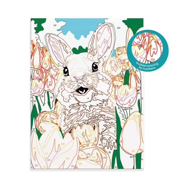 HAPPIHOBBI PAINT & FRAME BY NUMBERS CHEERFUL BUNNY ΓΙΑ 8+ ΧΡΟΝΩΝ