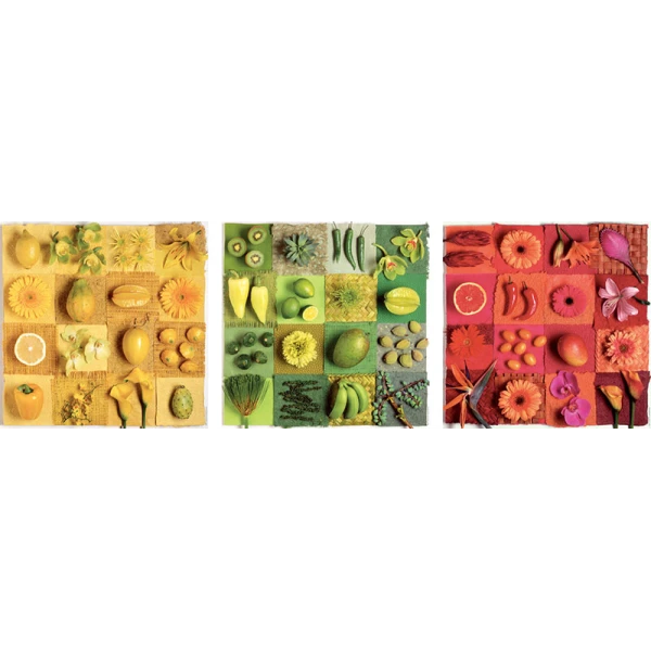 EDUCA ΠΑΖΛ 3X500 τεμ. EXOTIC FRUITS AND FLOWERS ANDREA TILK