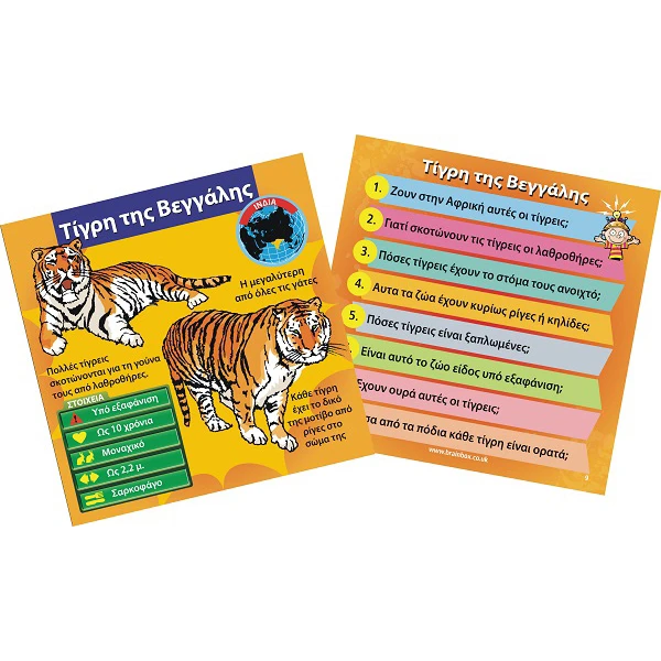 BRAINBOX TABLE GAME ANIMALS