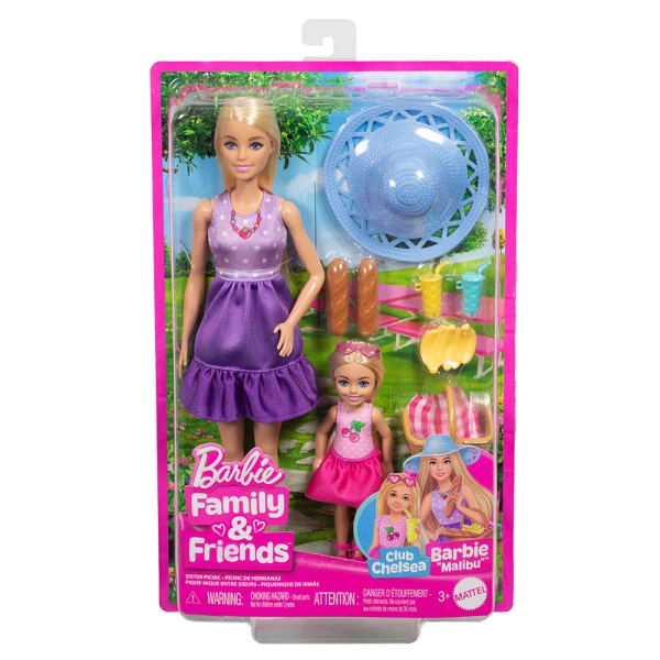 BARBIE FAMILY & FRIENDS ΚΟΥΚΛΑ BARBIE MALIBU & CHELSEA CORE