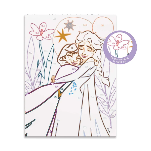 HAPPIHOBBI PAINT & FRAME BY NUMBERS DISNEY FROZEN FOR 6+ YEARS
