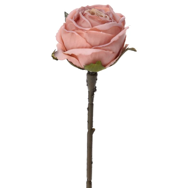ΡΟΖ ΚΛΑΔΙ ΤΡΙΑΝΤΑΦΥΛΛΟ 28 cm