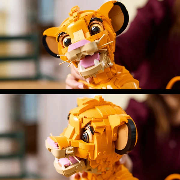 LEGO® ǀ DISNEY ΝΕΑΡΟΣ ΣΙΜΠΑ, Ο ΒΑΣΙΛΙΑΣ ΤΩΝ ΛΙΟΝΤΑΡΙΩΝ