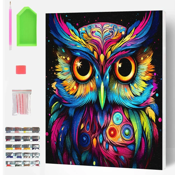 SPLAT PLANET DIAMOND PAINTING KIT ON FRAMED CANVAS 40X30 cm OWL