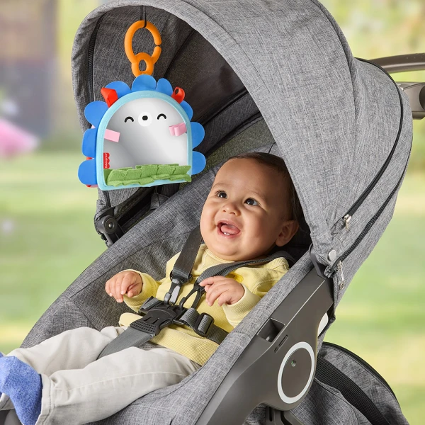 FISHER PRICE ΠΑΙΧΝΙΔΙ ΔΡΑΣΤΗΡΙΟΤΗΤΩΝ ΚΑΘΡΕΦΤΑΚΙ ΣΚΑΝΤΖΟΧΟΙΡΑΚΙ