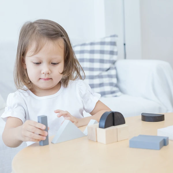 PLAN TOYS WOODEN TOY FRACTION BLOCKS
