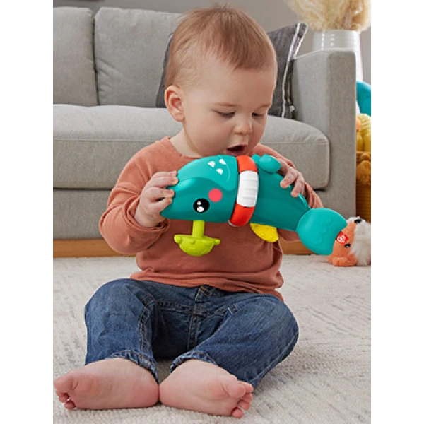 FISHER PRICE ΚΑΡΧΑΡΙΑΚΙ ΔΡΑΣΤΗΡΙΟΤΗΤΩΝ