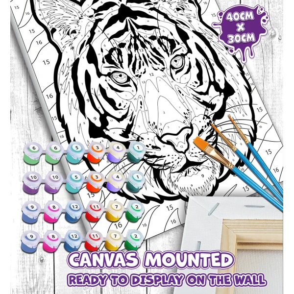 SPLAT PLANET PAINTING BY NUMBERS KIT ON FRAMED CANVAS 40X30 cm TIGER