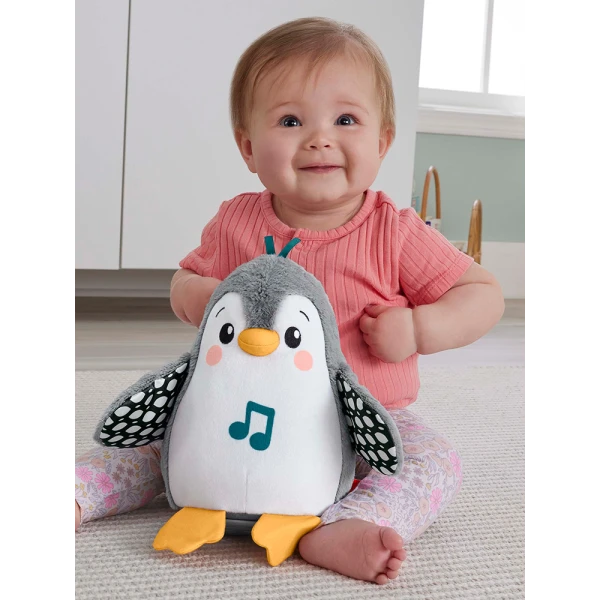 FISHER PRICE ΜΟΥΣΙΚΟ ΠΙΓΚΟΥΙΝΑΚΙ ΜΕ ΚΙΝΗΣΗ