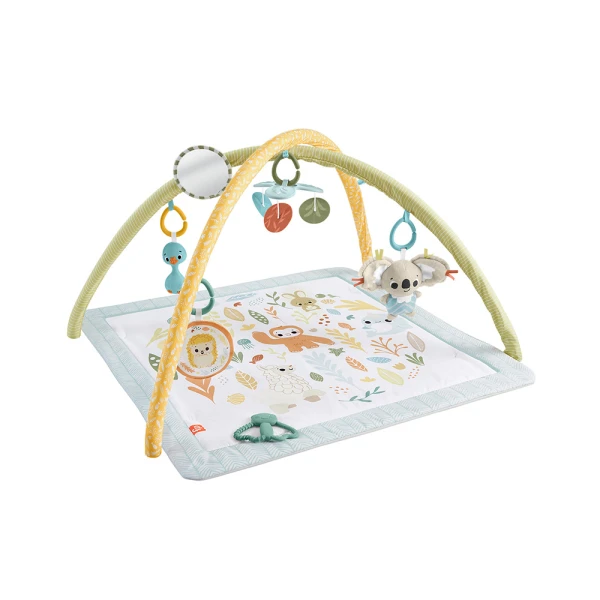 FISHER PRICE ΓΥΜΝΑΣΤΗΡΙΟ ΟΙ ΠΡΩΤΕΣ ΤΟΥ ΑΙΣΘΗΣΕΙΣ