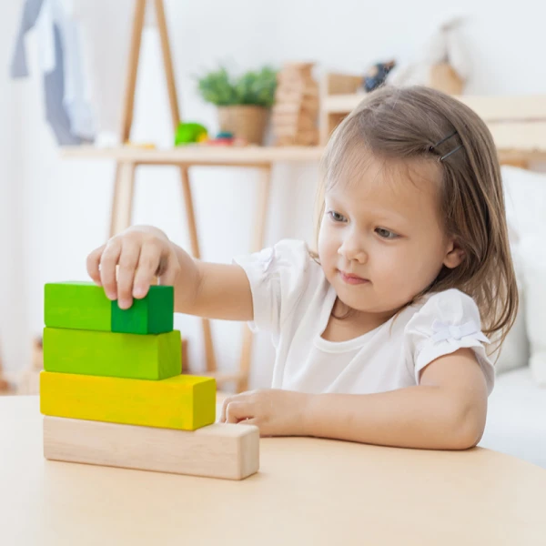 PLAN TOYS ΞΥΛΙΝΟ ΠΑΙΧΝΙΔΙ ΤΟΥΒΛΑΚΙΑ ΤΑΞΙΝΟΜΗΣΗΣ