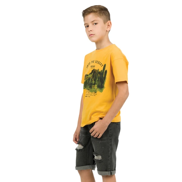 ENERGIERS BOY BERMUDA PANTS GREY JEAN