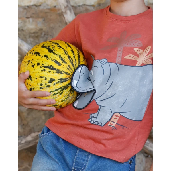 ENERGIERS BEBE BOY BLOUSE PAPRIKA