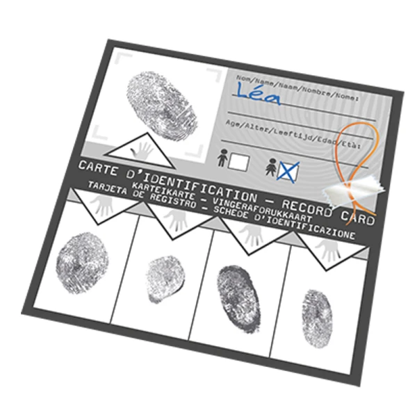 BUKI FINGERPRINTS 12 EXPERIMENTS