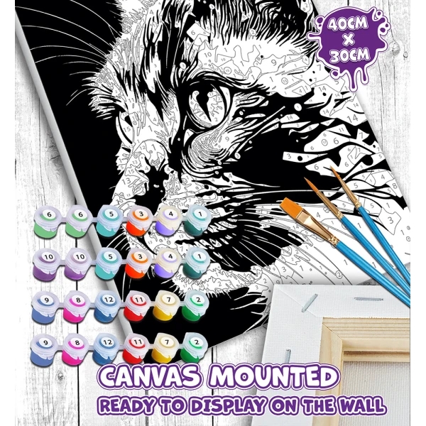SPLAT PLANET PAINTING BY NUMBERS KIT ON FRAMED CANVAS 40X30 cm BRIGHT CAT