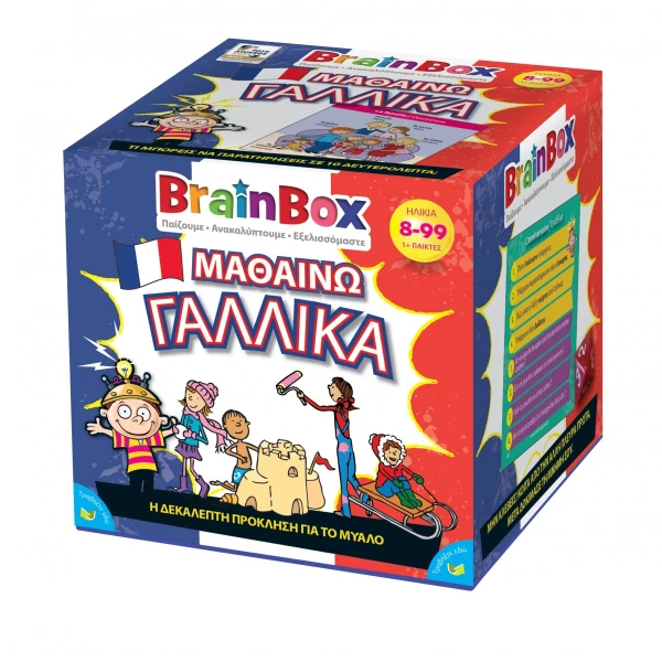 BRAINBOX BOARD GAME LEARNING FRENCH