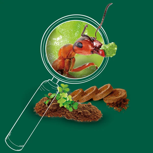 LEARN & CREATE LAB – THE WORLD OF ANTS EDUCATIONAL SCIENCE KIT 7+