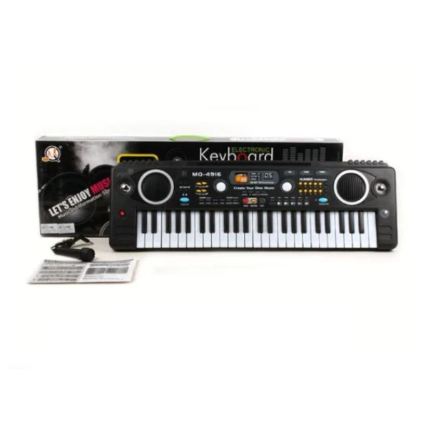 ARMONIUM WITH 49 KEYS & MICROPHONE