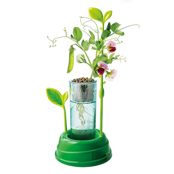 SCIENCE AND PLAY LAB EDUCATIONAL GAME MY GARDEN FOR AGES 8+